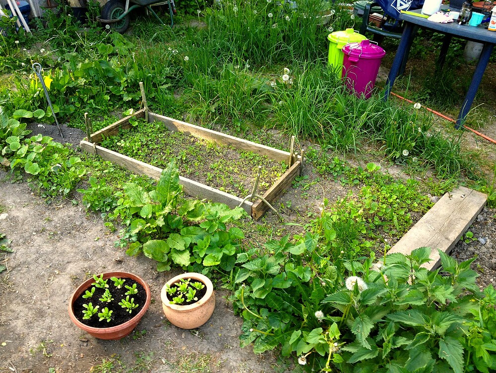 Growreport Bild 23