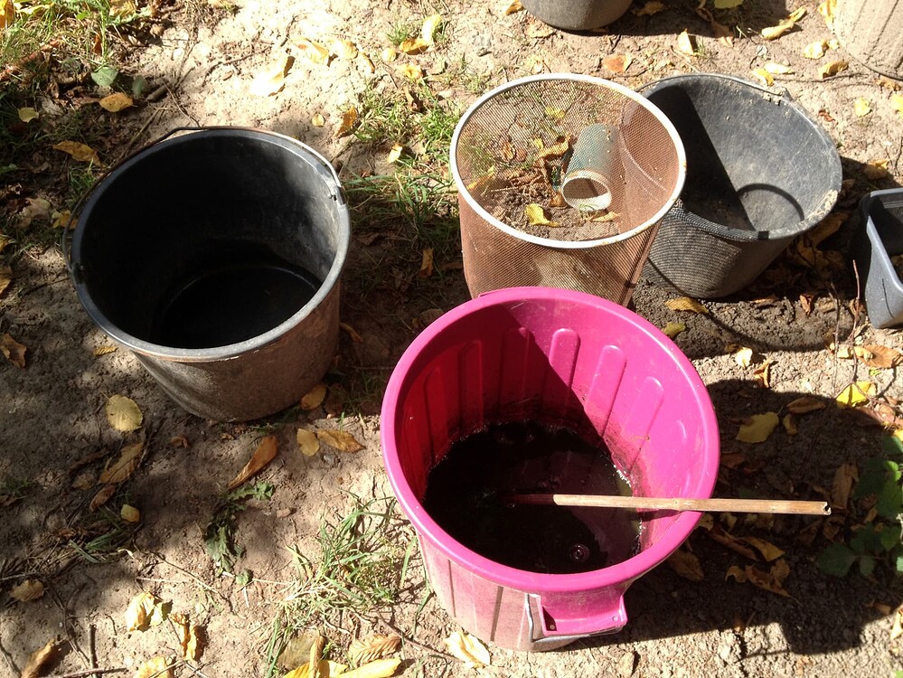 Growreport Bild 44