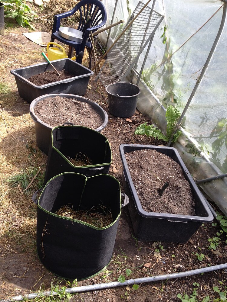 Growreport Bild 58