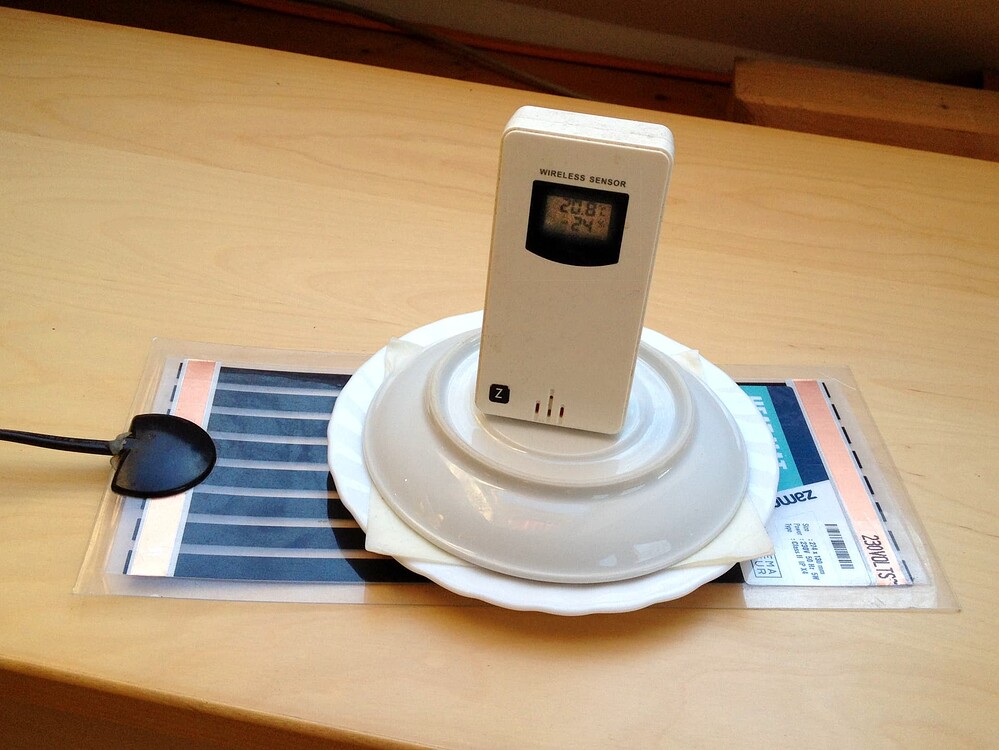 Ein weißer Teller auf einer Heizmatte mit einem Wireless-Sensor darauf, zur Keimung von Cannabis-Samen.