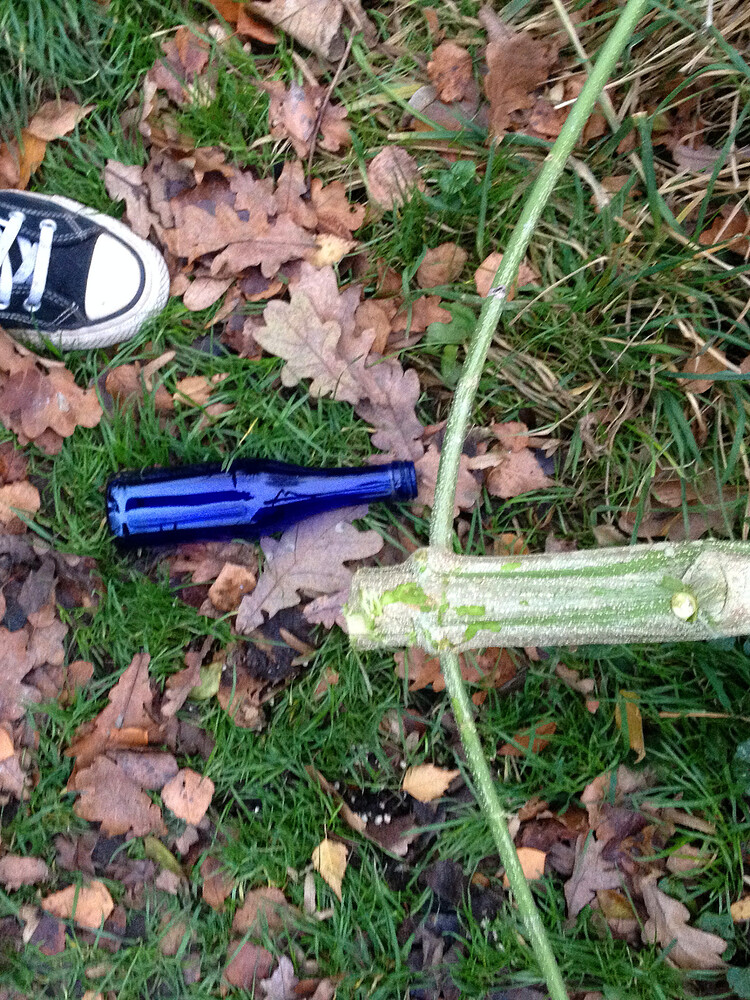 Ein dicker, frisch abgeschnittener Cannabis-Stamm liegt auf dem Boden im Laub, daneben eine blaue Glasflasche und ein Teil eines Schuhs.