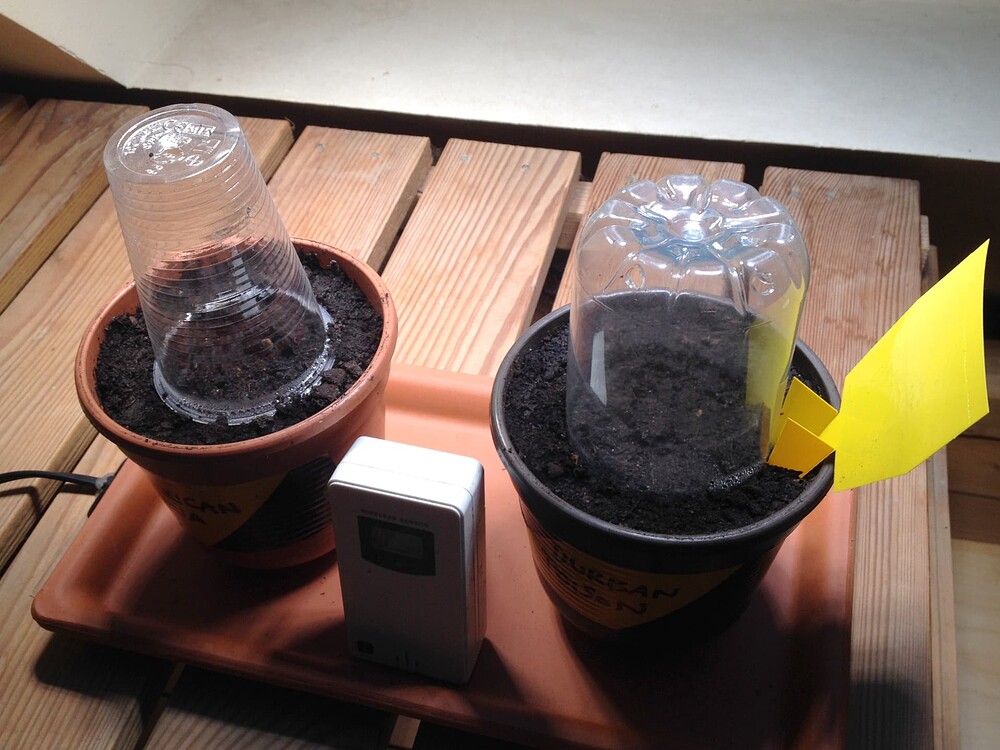 Growreport Bild 26