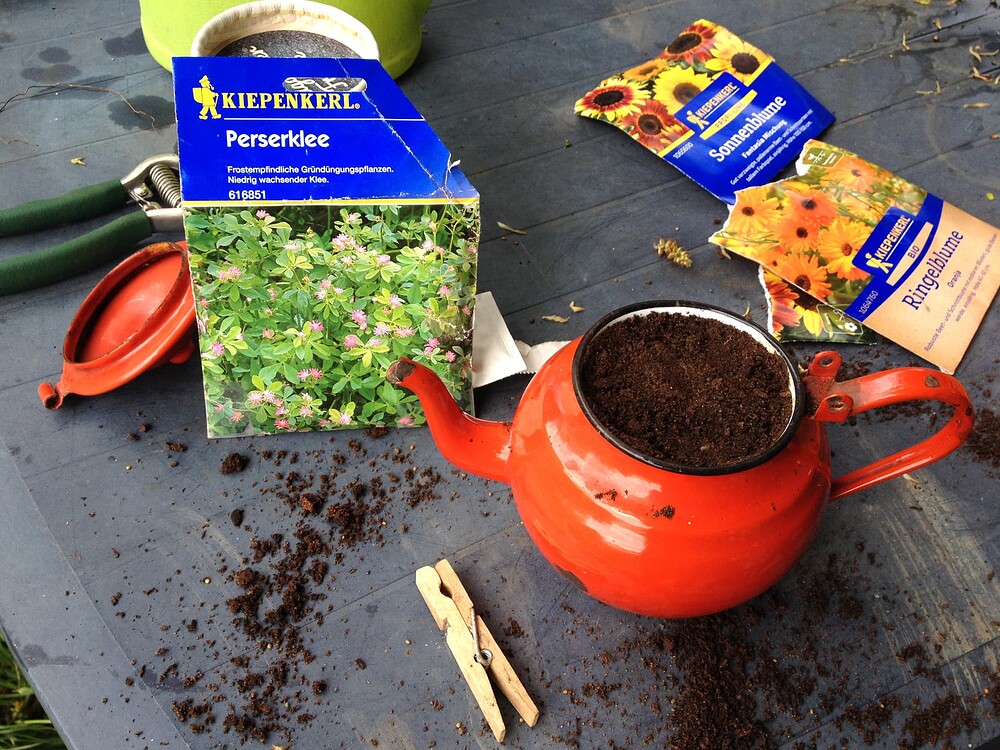 Growreport Bild 40