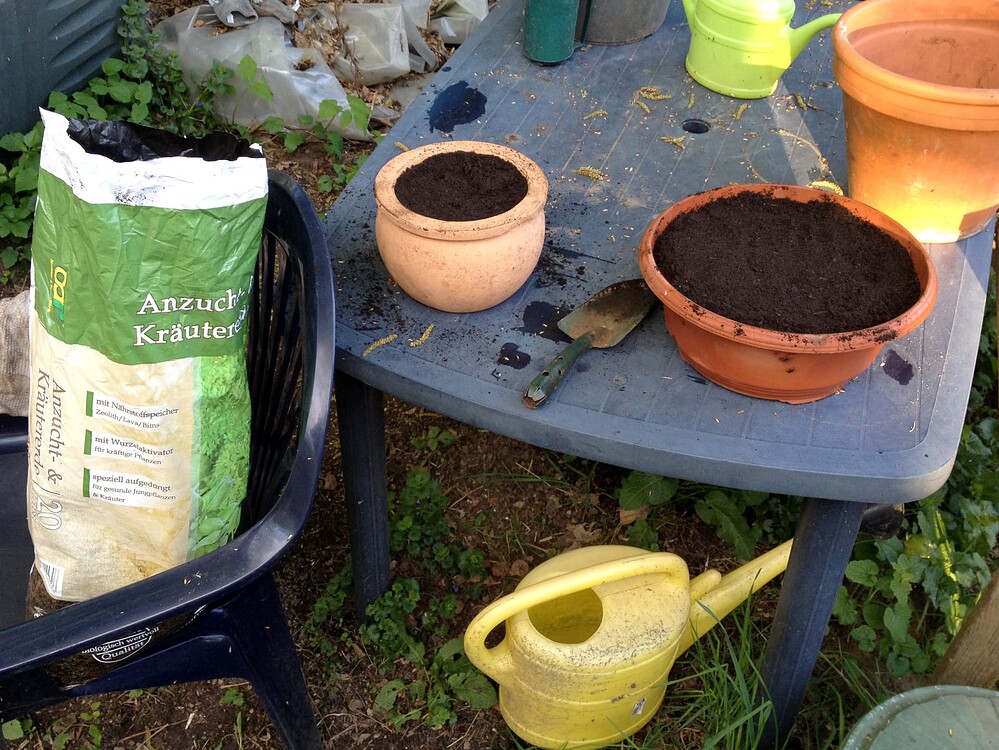 Growreport Bild 12
