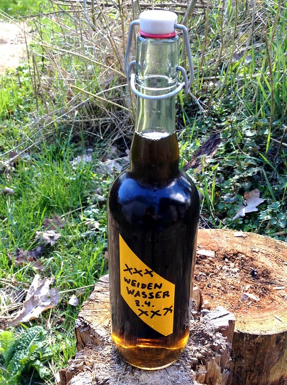 Eine Glasflasche mit der Aufschrift Weidenwasser steht auf einem Baumstumpf im Freien.