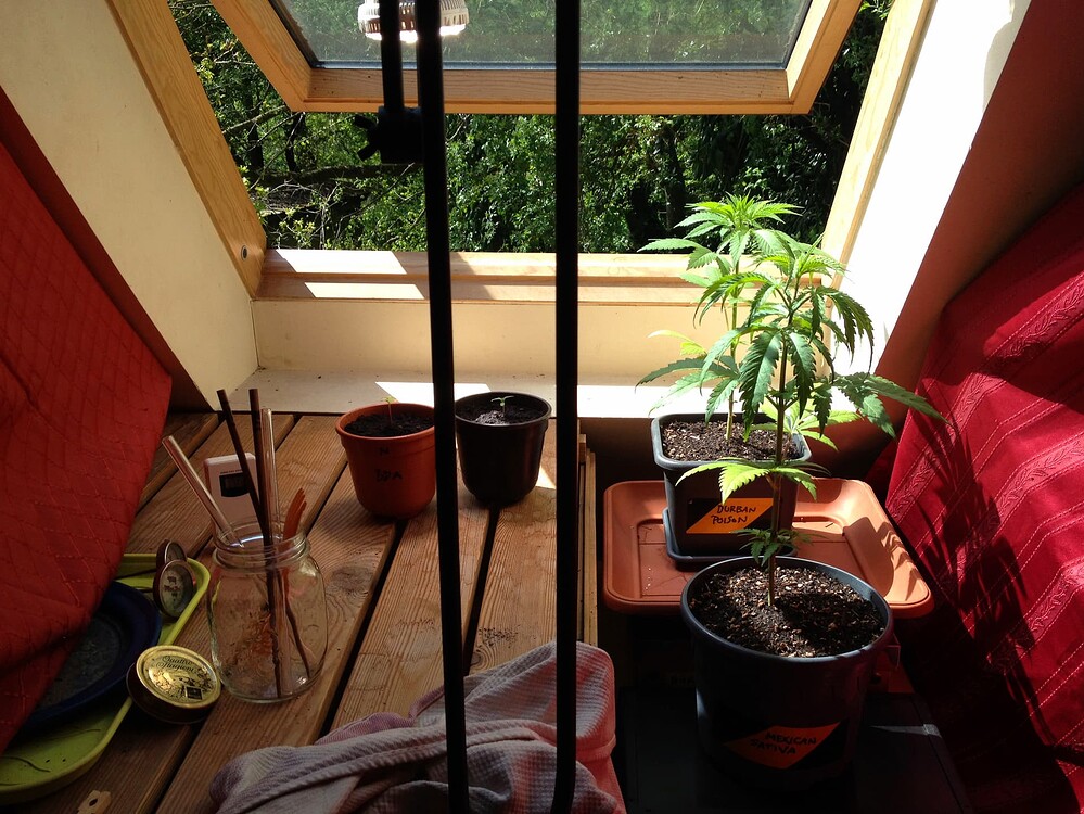 Growreport Bild 16