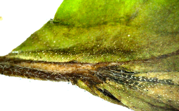 Growreport Bild 12