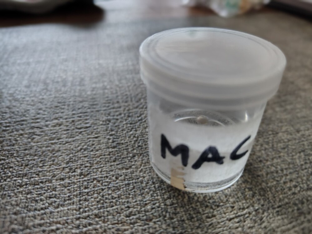 MAC - Miracle Alien Cookies Produktfoto