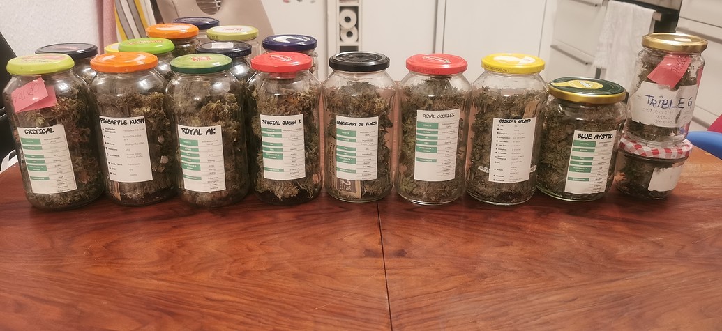 Ultra Grow - 10 Sorten/ 9 auf 80x80 und 1 auf 60x60