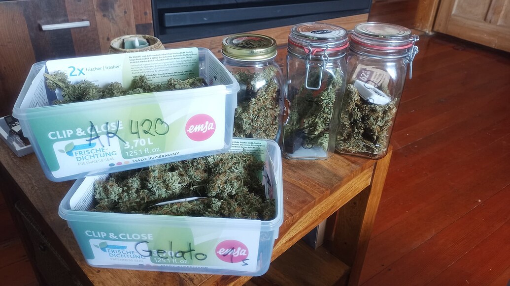 2 Kugel Eis und ein Maschinengewehr (Gelato Auto + AK420 Auto) ABGESCHLOSSEN