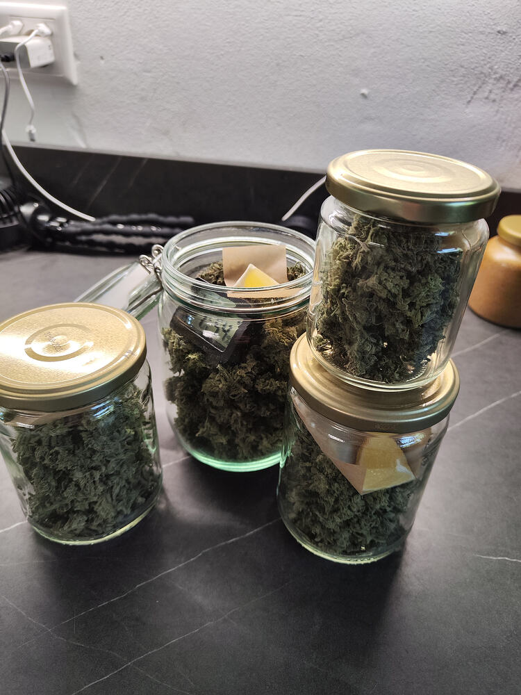 From Filament to Flower: 3D Abenteuer mit Linda Seeds