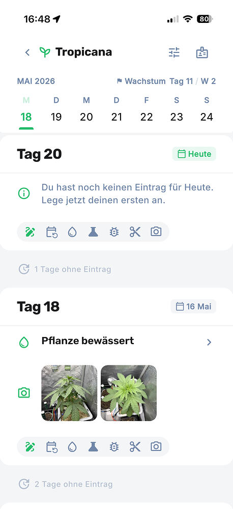 Growreport Bild 3