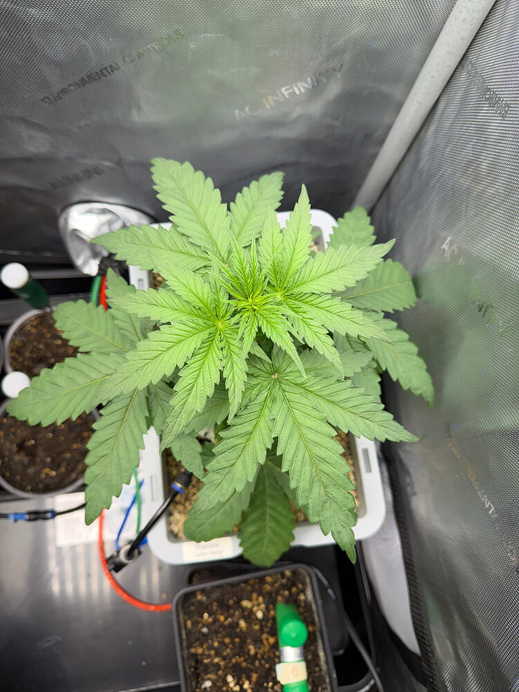 Growreport Bild 14
