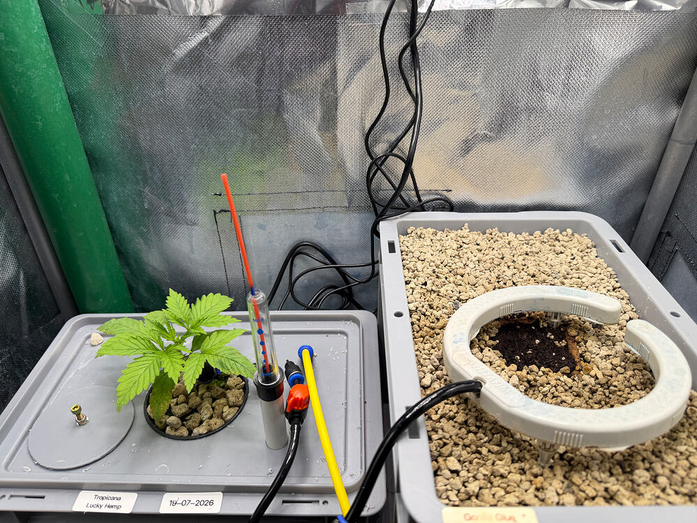 Growreport Bild 6