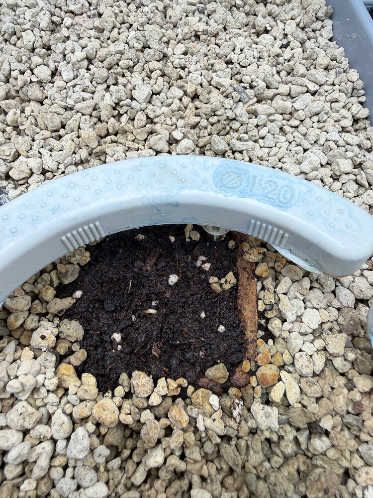 Growreport Bild 5