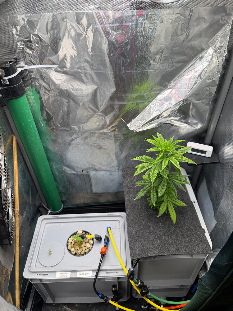 Growreport Bild 12
