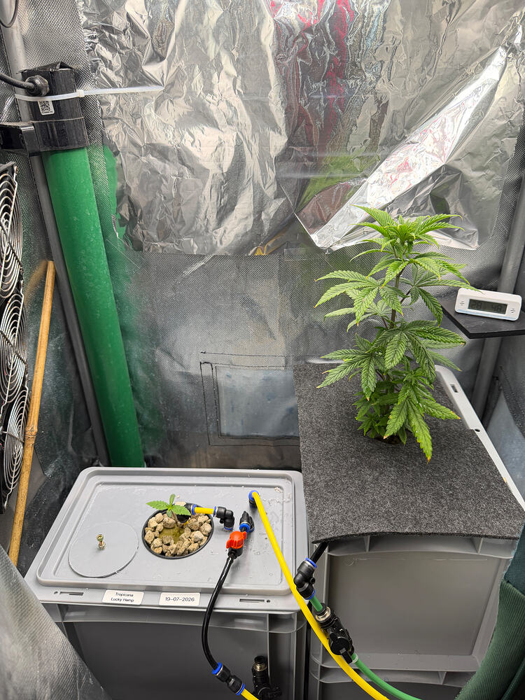 Growreport Bild 1