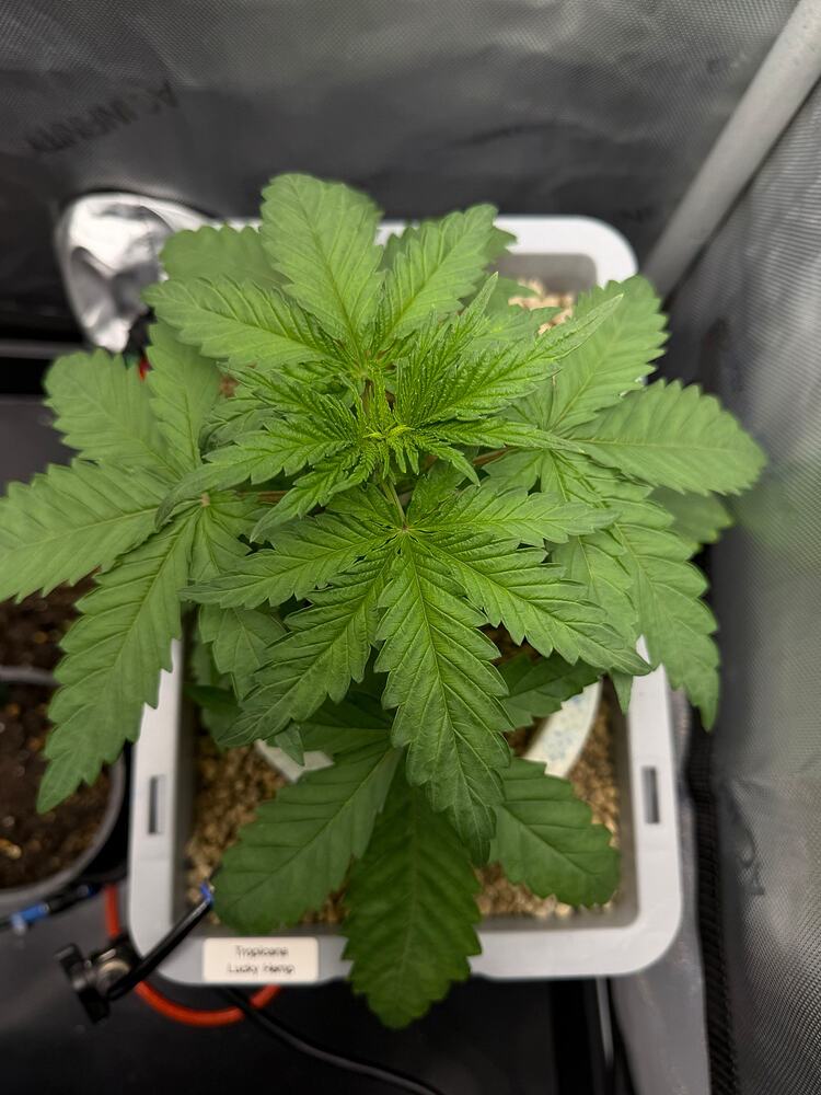 Growreport Bild 9