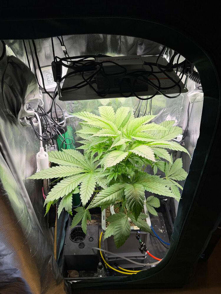 Growreport Bild 26