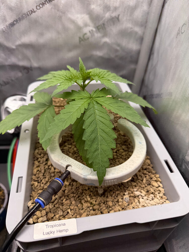 Growreport Bild 5