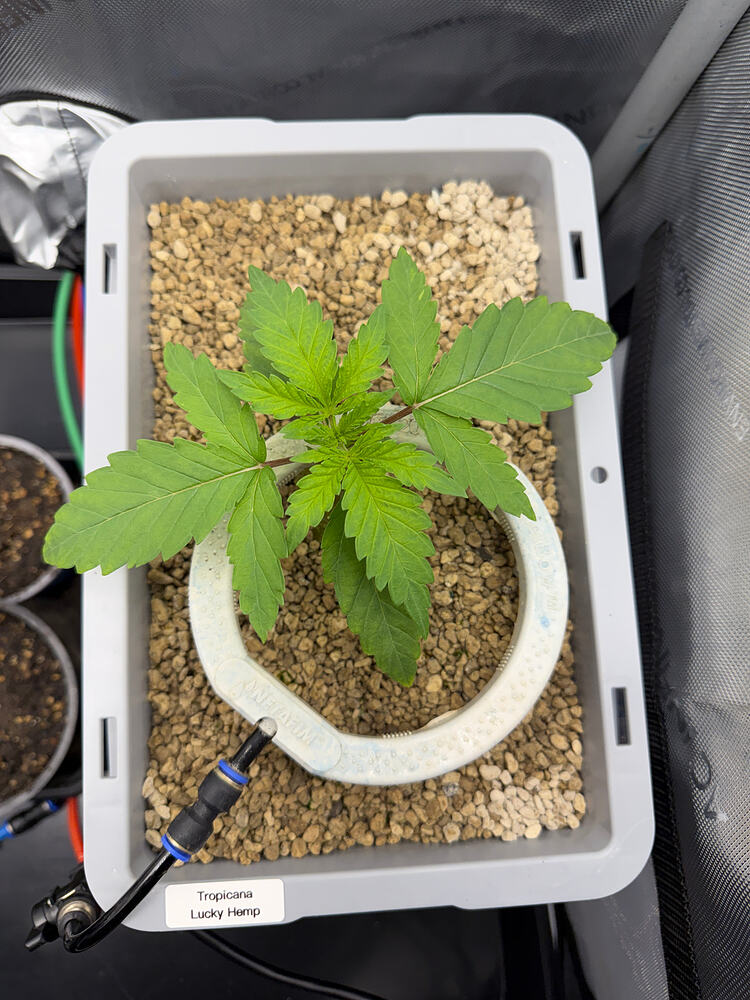 Growreport Bild 10