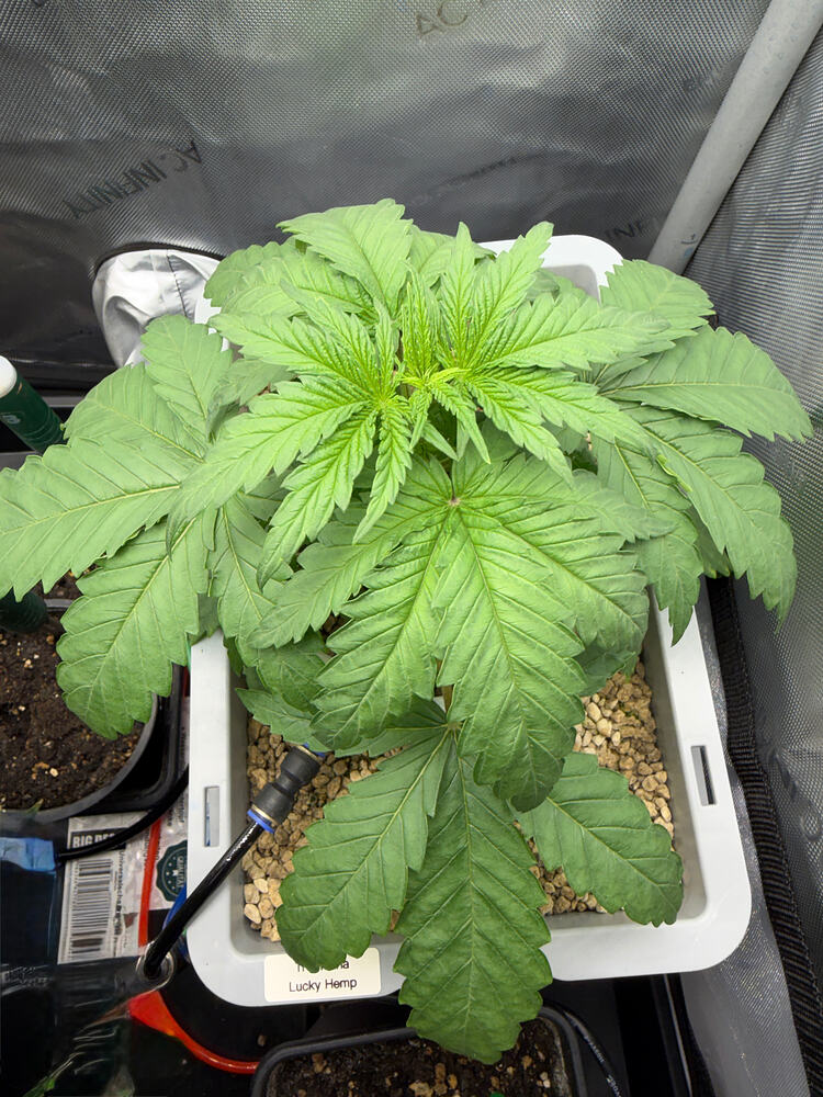 Growreport Bild 11