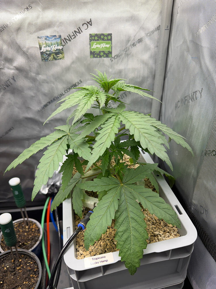 Growreport Bild 15