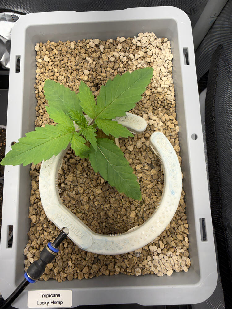 Growreport Bild 5