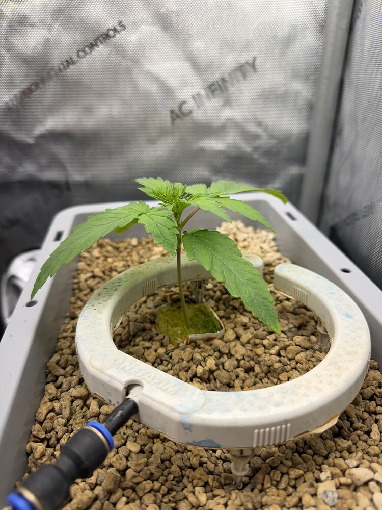 Growreport Bild 7