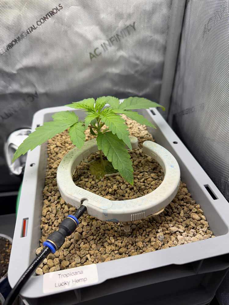 Growreport Bild 11