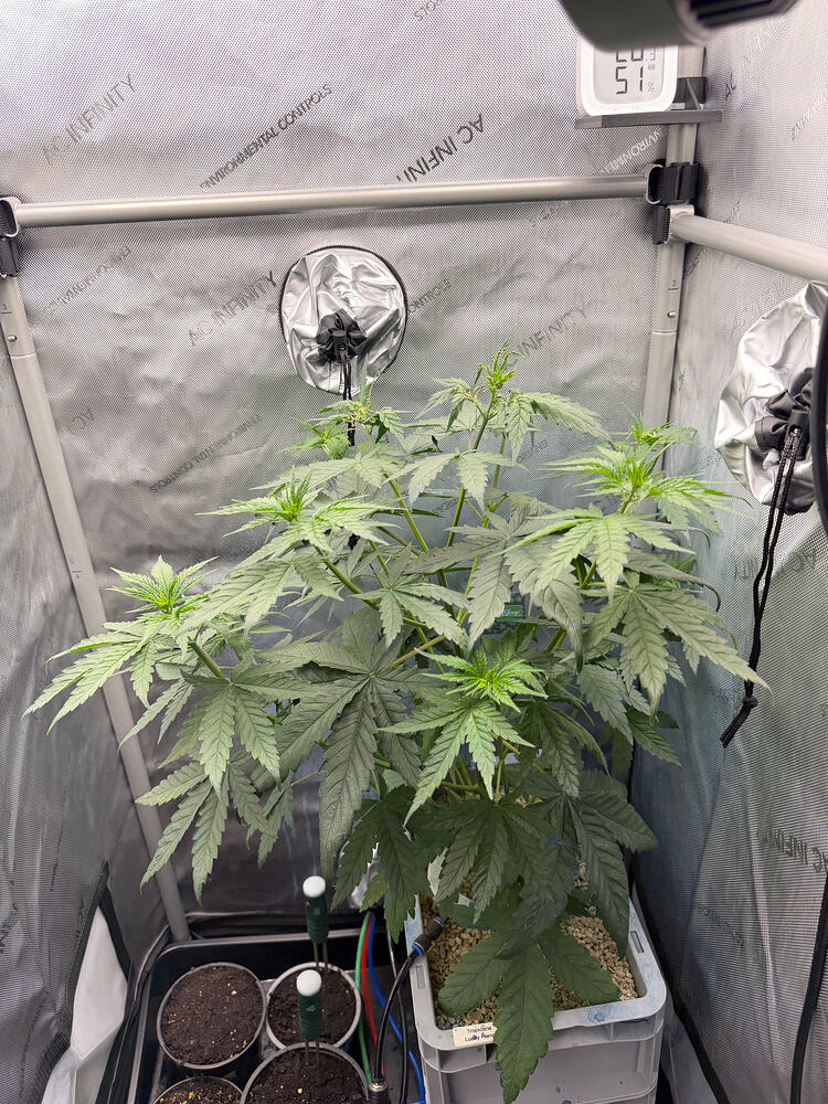 Growreport Bild 8