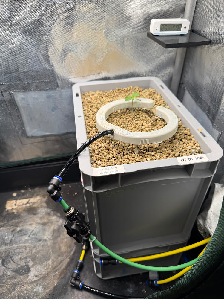 Growreport Bild 6