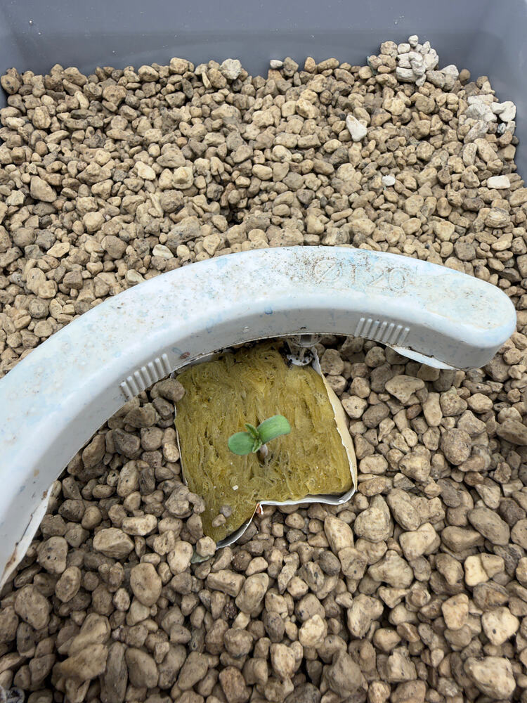 Growreport Bild 14
