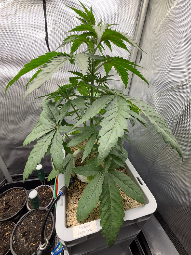 Growreport Bild 7