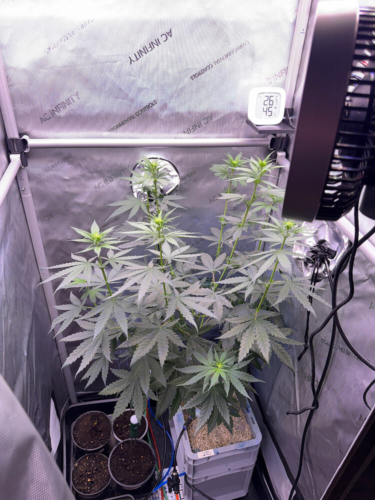Growreport Bild 4
