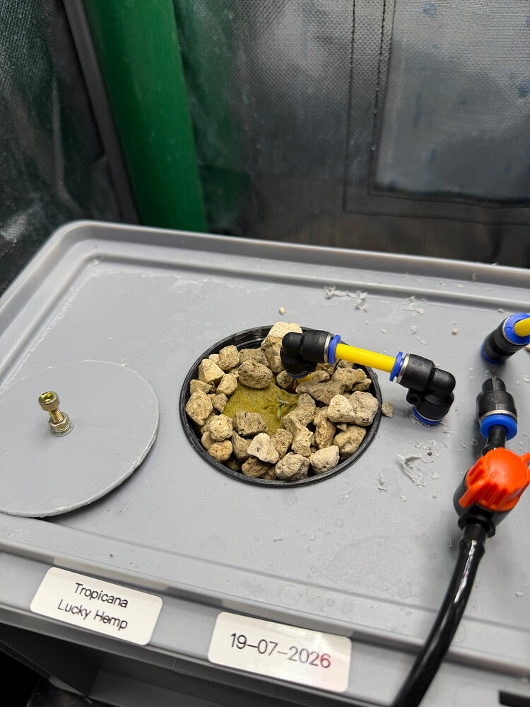Growreport Bild 9