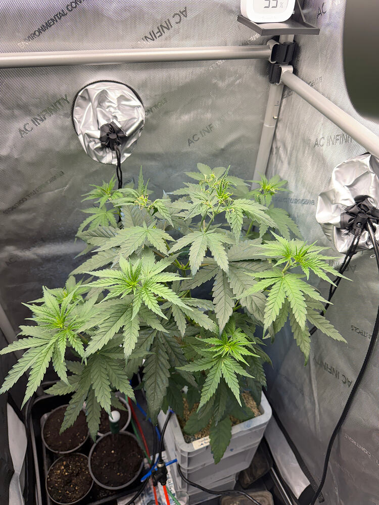 Growreport Bild 7