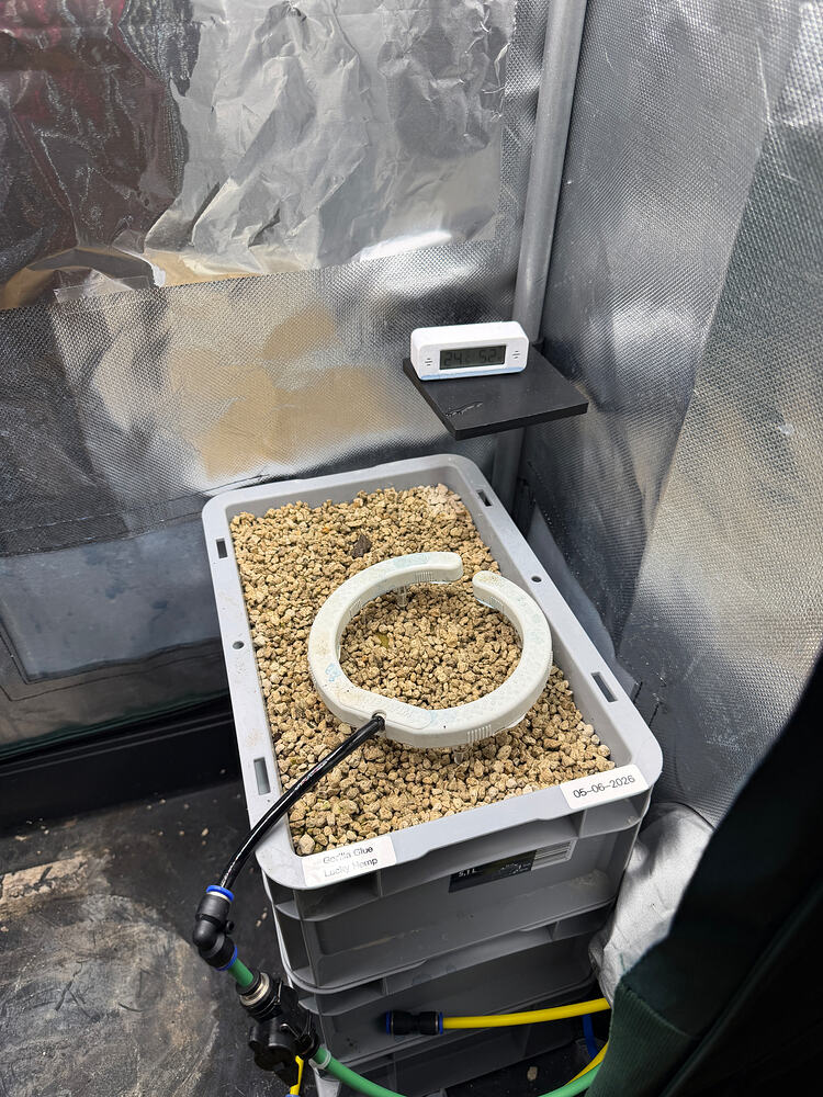 Growreport Bild 5