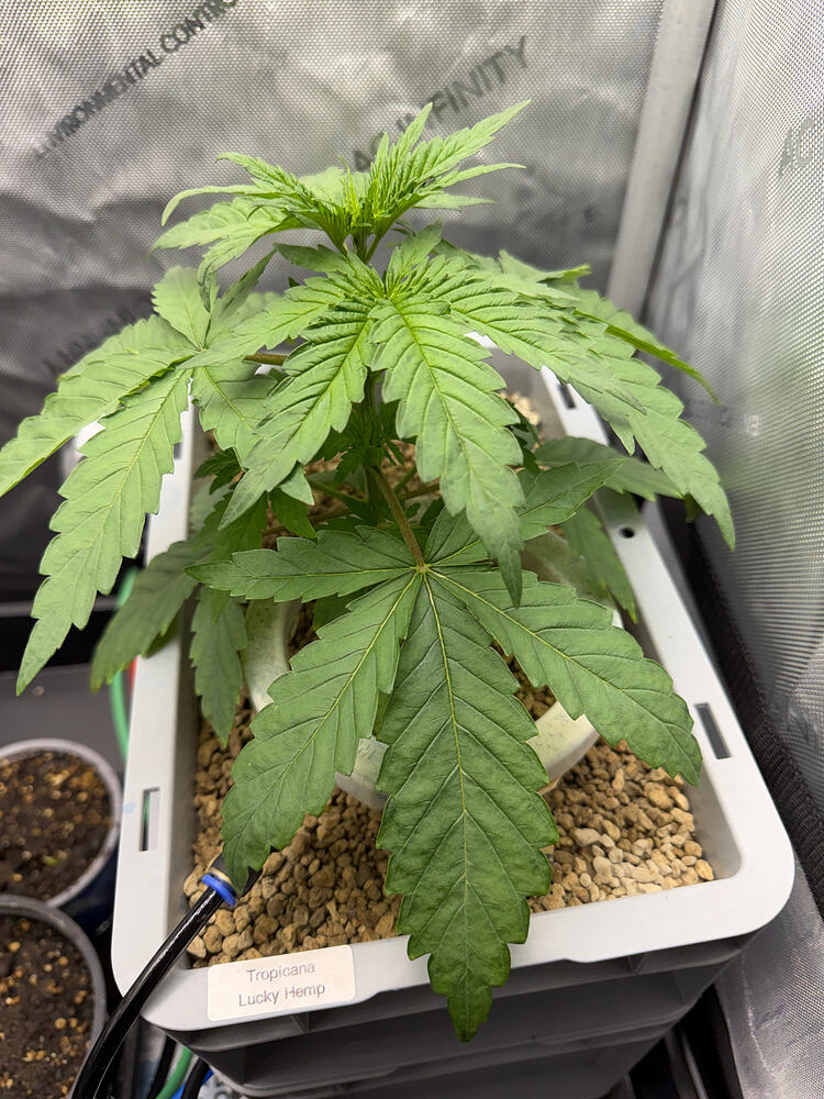 Growreport Bild 10