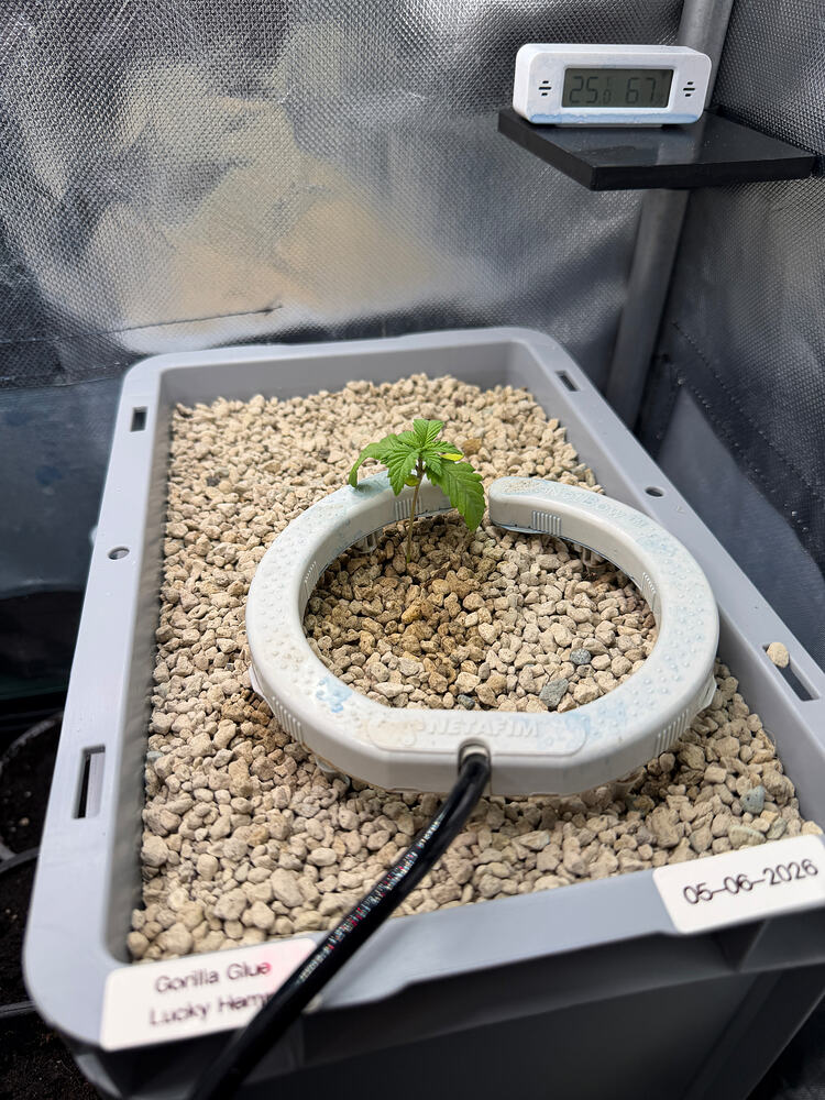 Growreport Bild 9