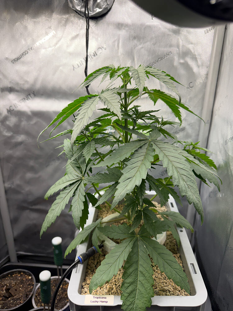 Growreport Bild 8