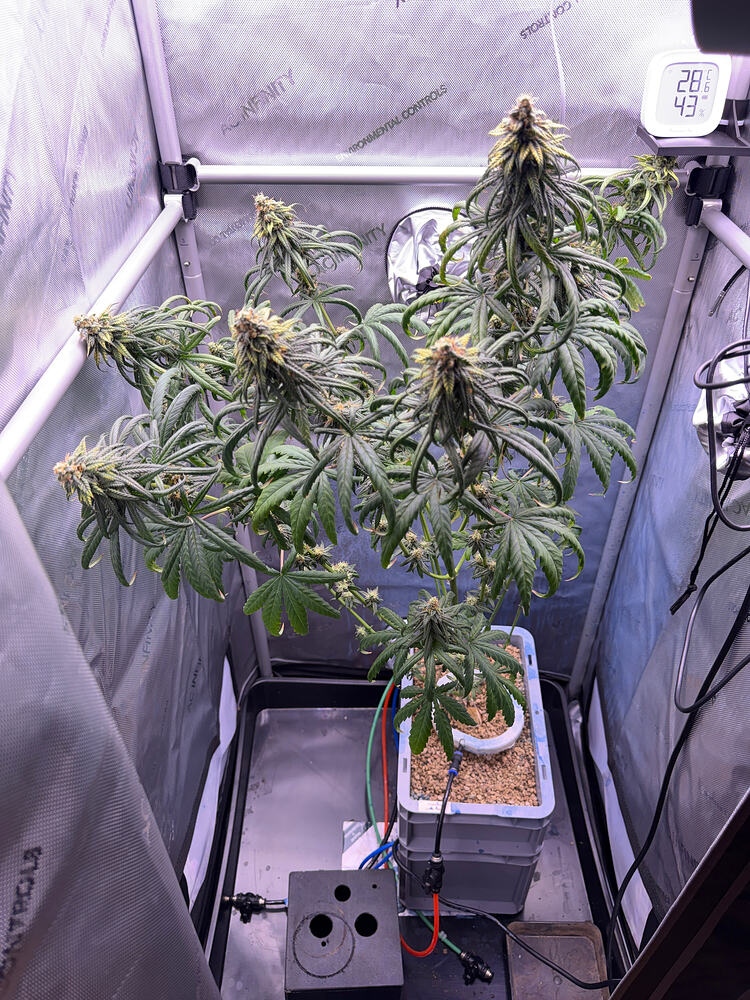 Growreport Bild 5
