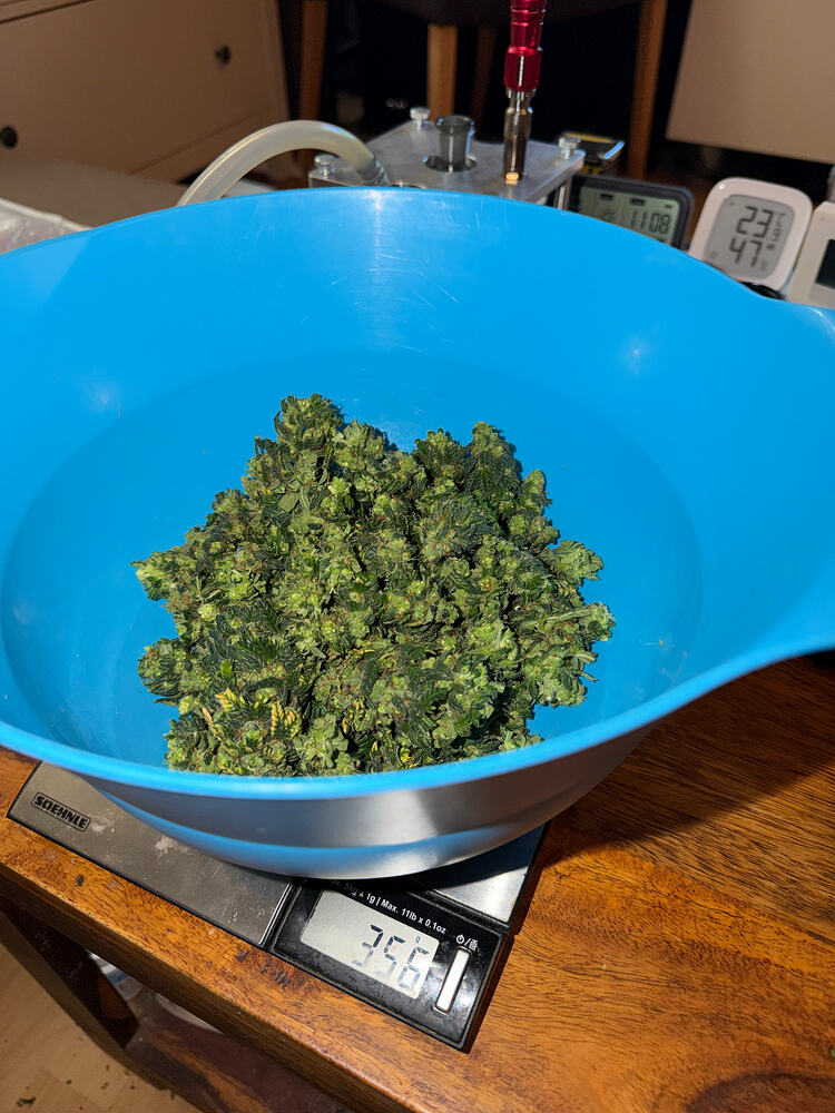 Growreport Bild 3