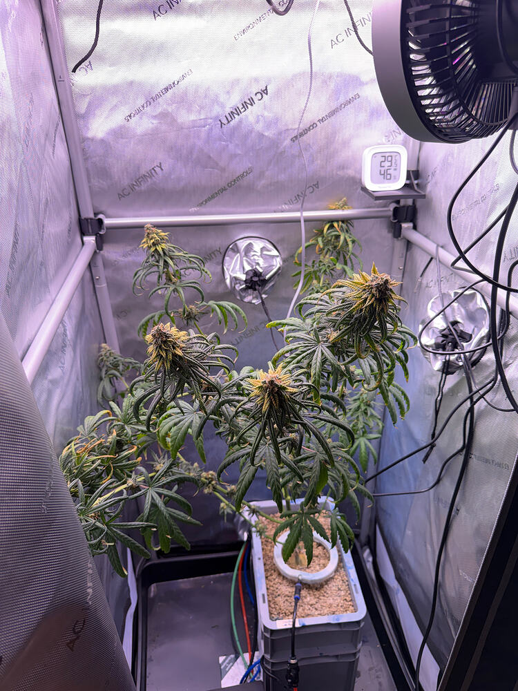 Growreport Bild 7