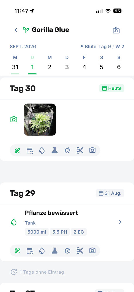 Growreport Bild 25