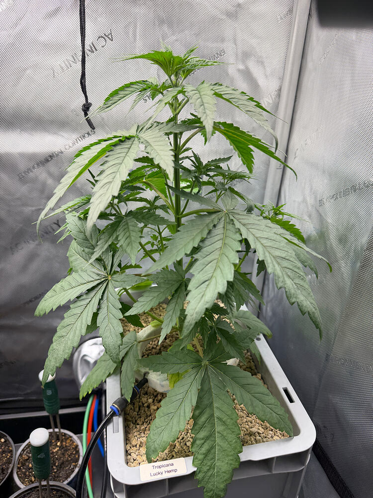 Growreport Bild 11
