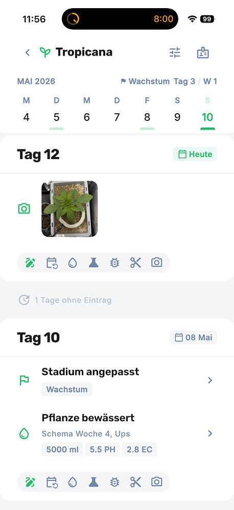 Growreport Bild 1