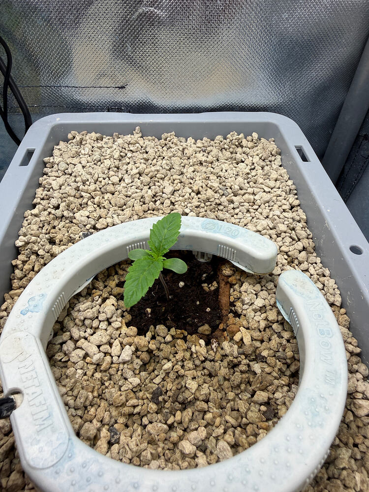 Growreport Bild 8