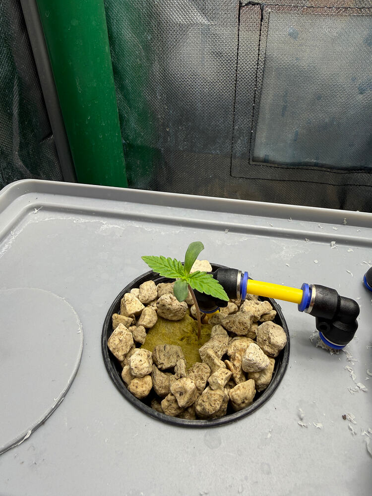 Growreport Bild 11