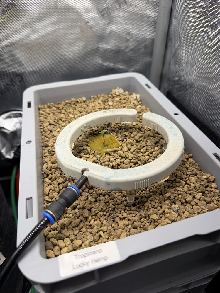 Growreport Bild 15